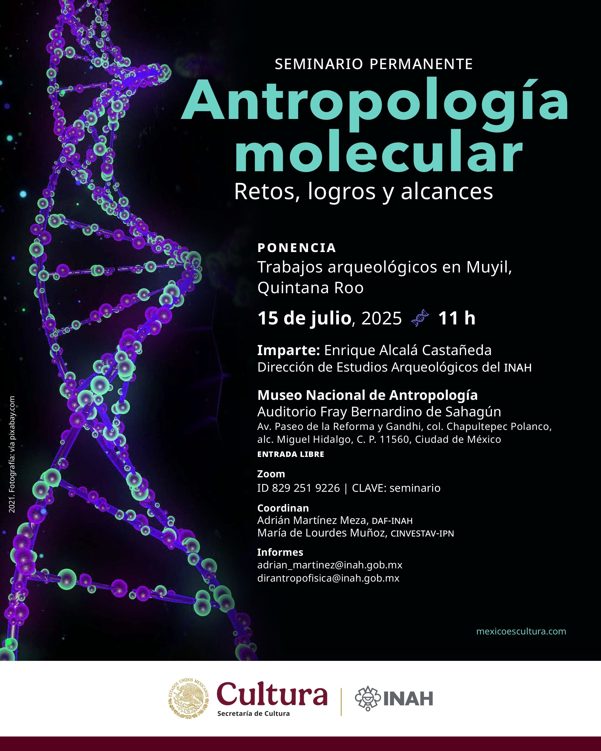 20250709 banner AntropologiaMolecular