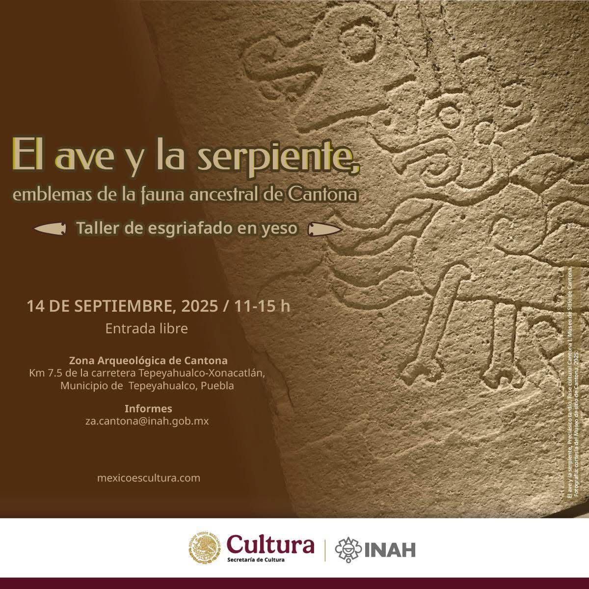 20250902 banner ElAve