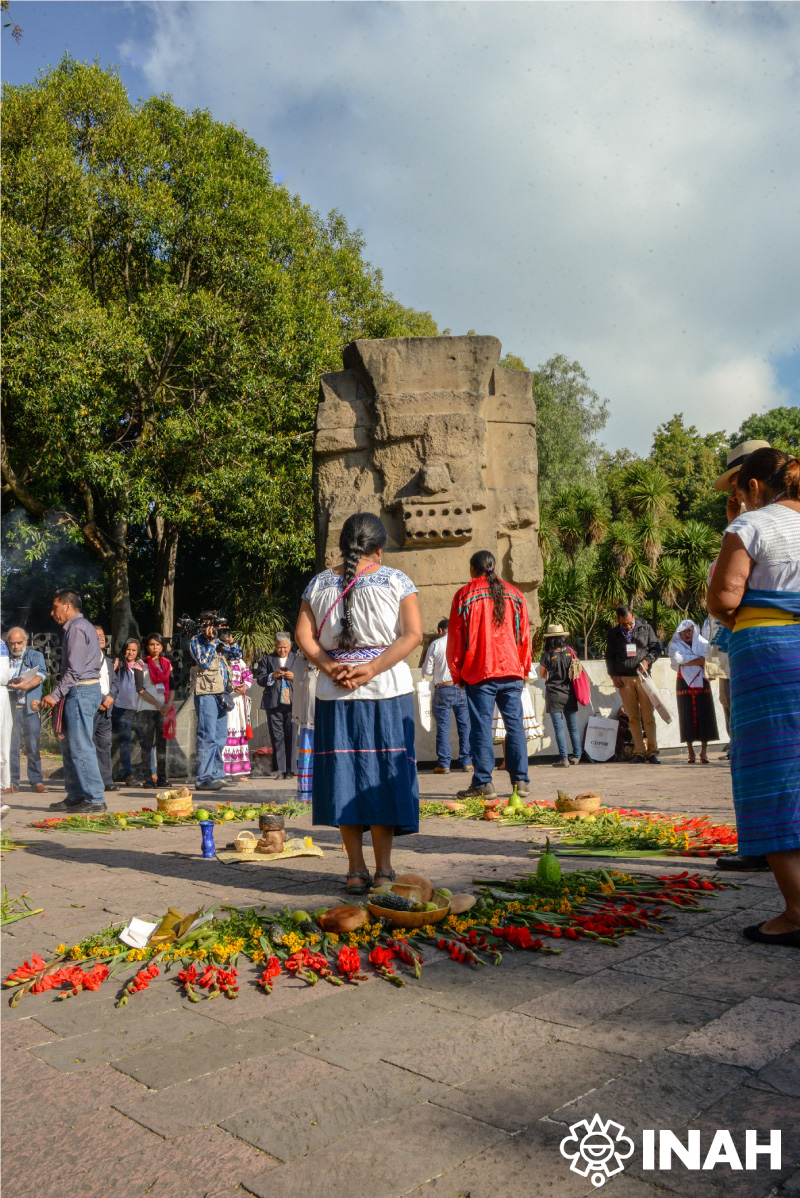 Galería