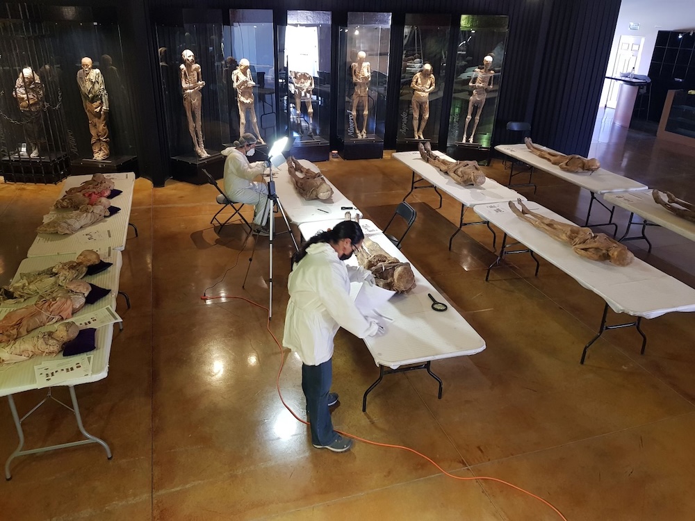 Las momias de Guanajuato, un patrimonio vivo