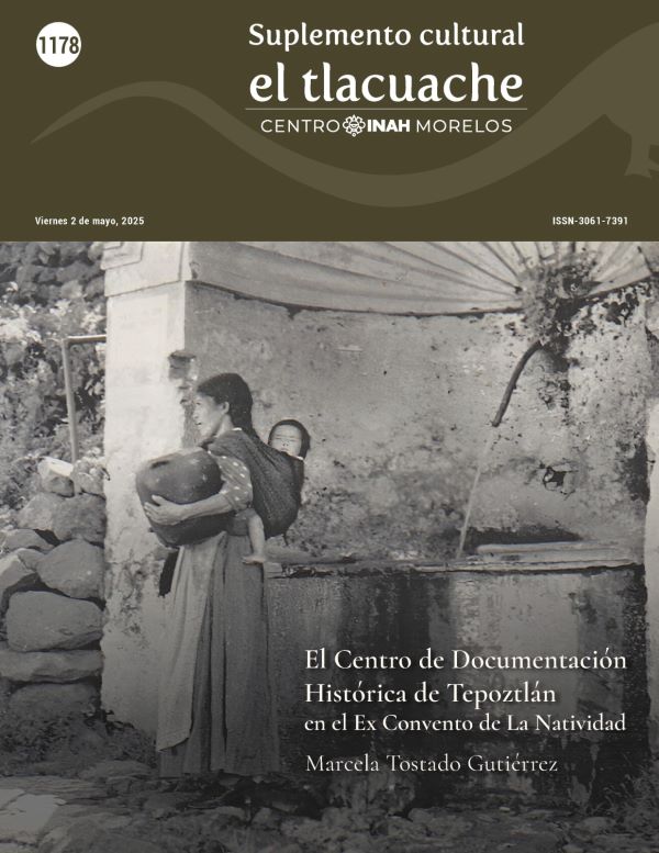 Tlacuache 1178